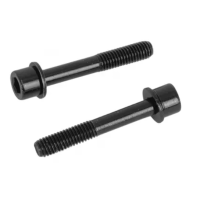 Болты крепления калипера Flat Mount Mounting bolt 37мм