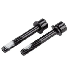 Болти кріплення каліпера Flat Mount Mounting bolt 32мм