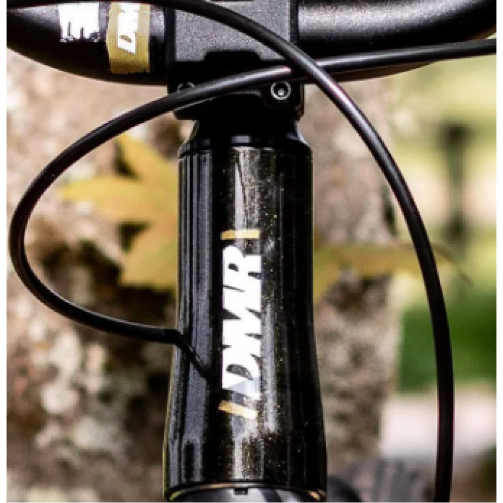 Рама DMR Sect Pro Frame 26 - Black Gold, фото 2
