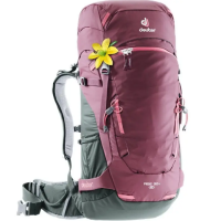 Рюкзак DEUTER Rise Lite 26 SL цвет 5207 maron-ivy (образец)