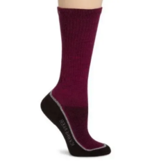 Носки Ski + Lite OTC WMN java/cranberry/silver M
