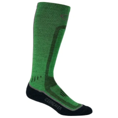 Носки Skier Lite MEN turf/metro/nova L