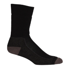 Шкарпетки ICEBREAKER Hike+ Medium Crew WMN BLK/MONSON/MINK S