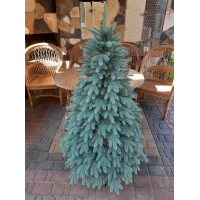 Лита ялинка Швейцарська 1.50 м – блакитна