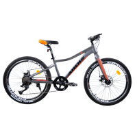 Велосипед ARDIS 24 MTB AL "SKIF" 11", сірий