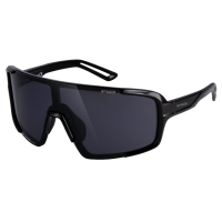 Окуляри R2 IMPULSE black (shiny), лінза smoke PC Polarized XTR, кат. 3