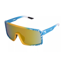 Спортивні сонцезахисні окуляри Relax Gull R5433E