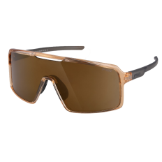 Окуляри R2 WINNER amber (crystal, shiny), лінза brown (copper chrome) PC, кат. 3