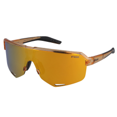Окуляри R2 FLUKE amber (crystal, shiny), лінза brown (gold chrome) PC, кат. 3