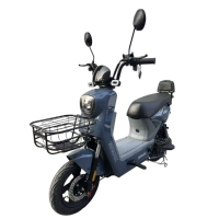 Велосипед з електромотором SPARK AMP 14" 48V/800W/25Ah