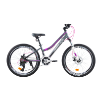 Велосипед ARDIS 24 MTB AL "ALPINA"