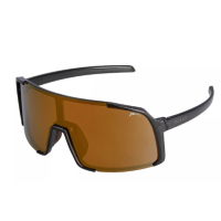 Окуляри Relax Dingo crystal dark grey crystal, лінза brown (PC), gold revo, кат. 3